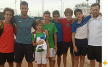 torneo babolat